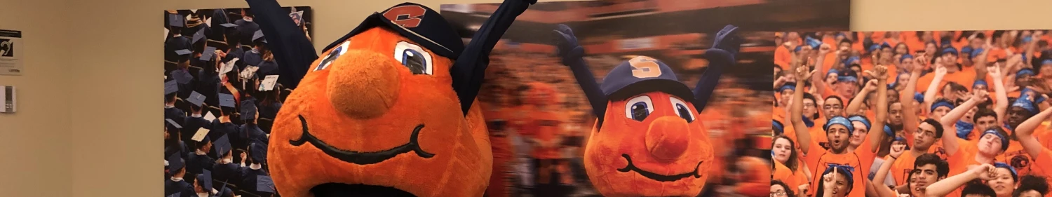 Banner image