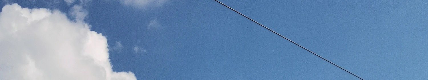 Banner image