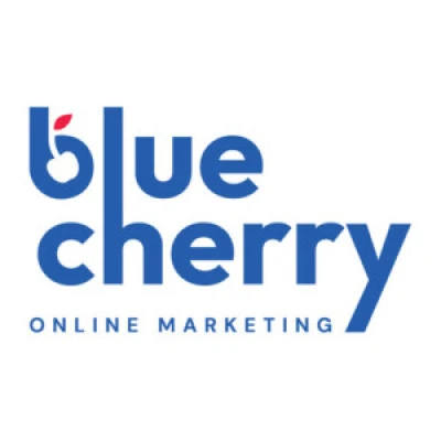 Image of Blue Cherry Online Marketing