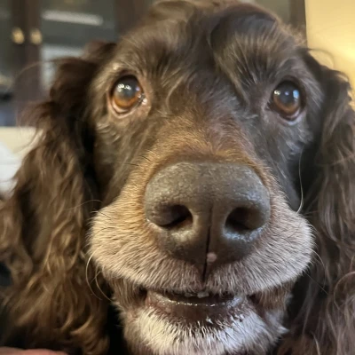 Image of Robey Canaday